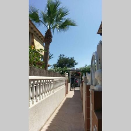 Apartmán La Casa De La Palmera Torrevieja Exteriér fotografie