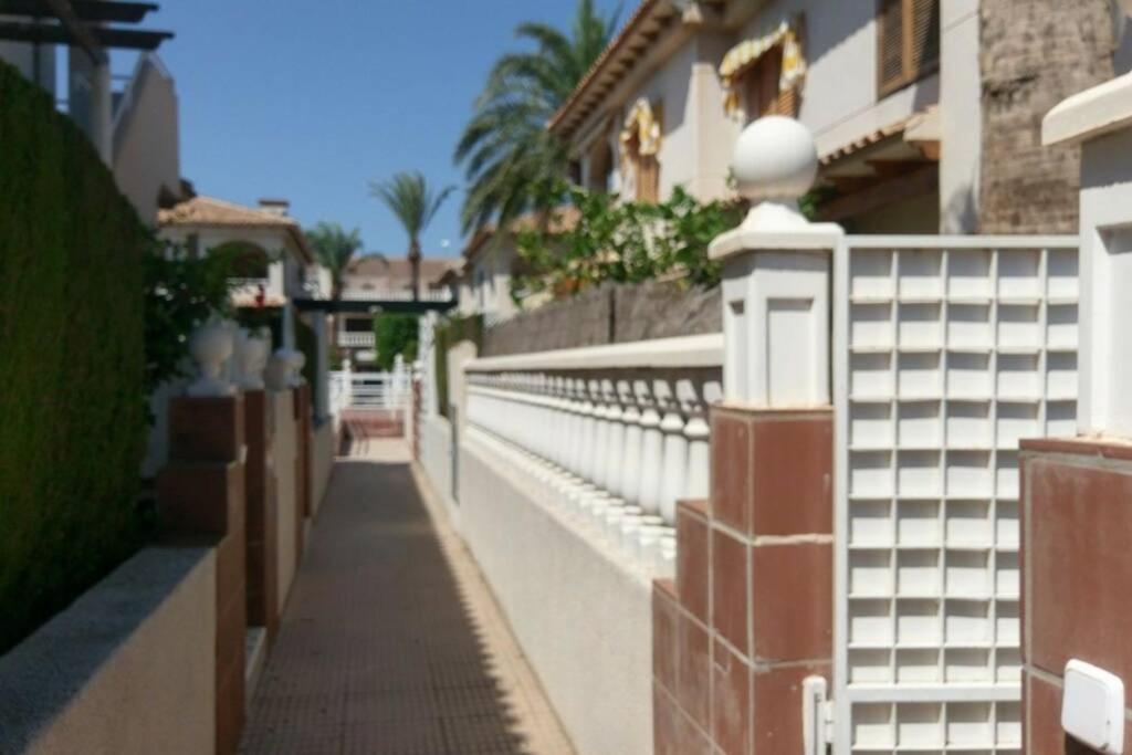 Apartmán La Casa De La Palmera Torrevieja Exteriér fotografie