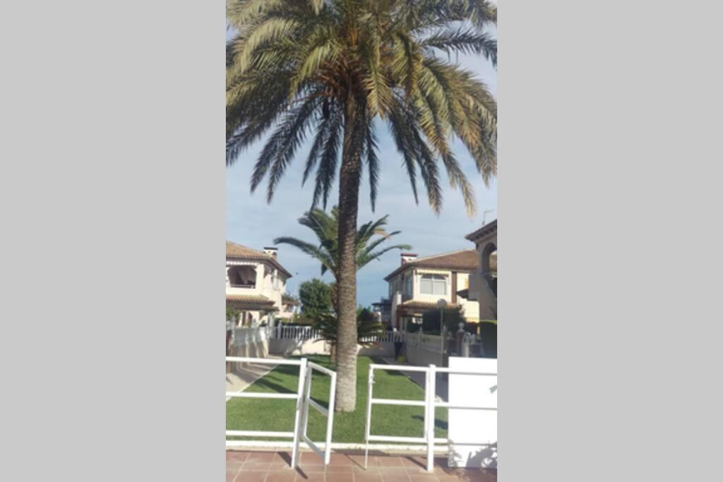 Apartmán La Casa De La Palmera Torrevieja Exteriér fotografie