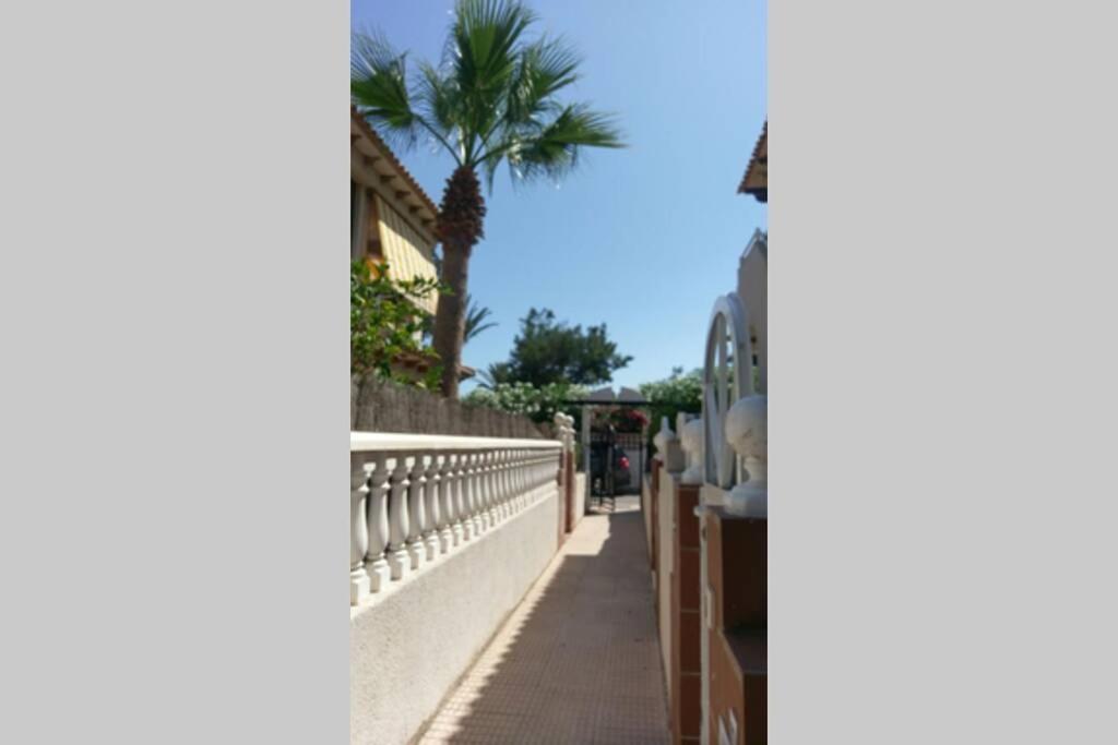 Apartmán La Casa De La Palmera Torrevieja Exteriér fotografie