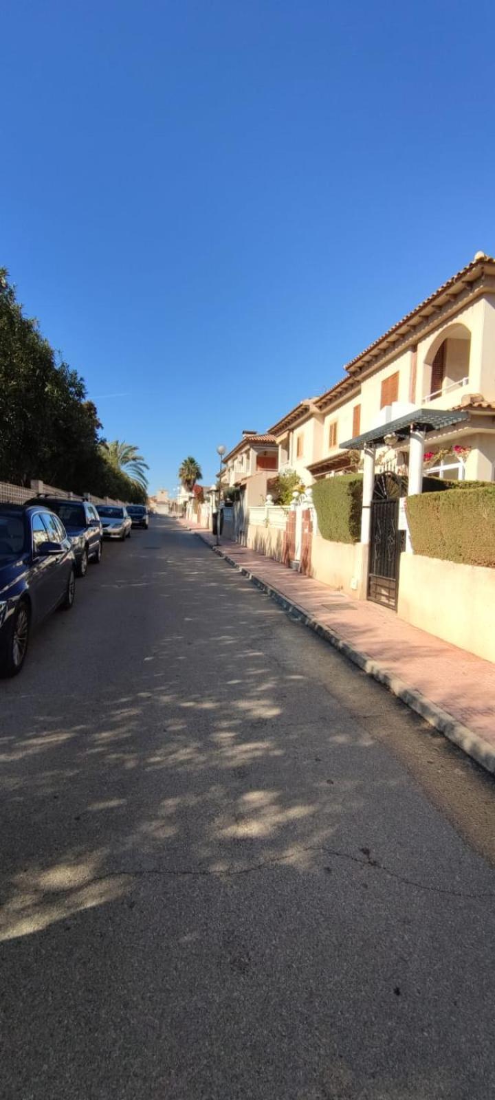 Apartmán La Casa De La Palmera Torrevieja Exteriér fotografie